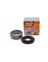 Kit roulement roue arrière Terrain Tamer C200