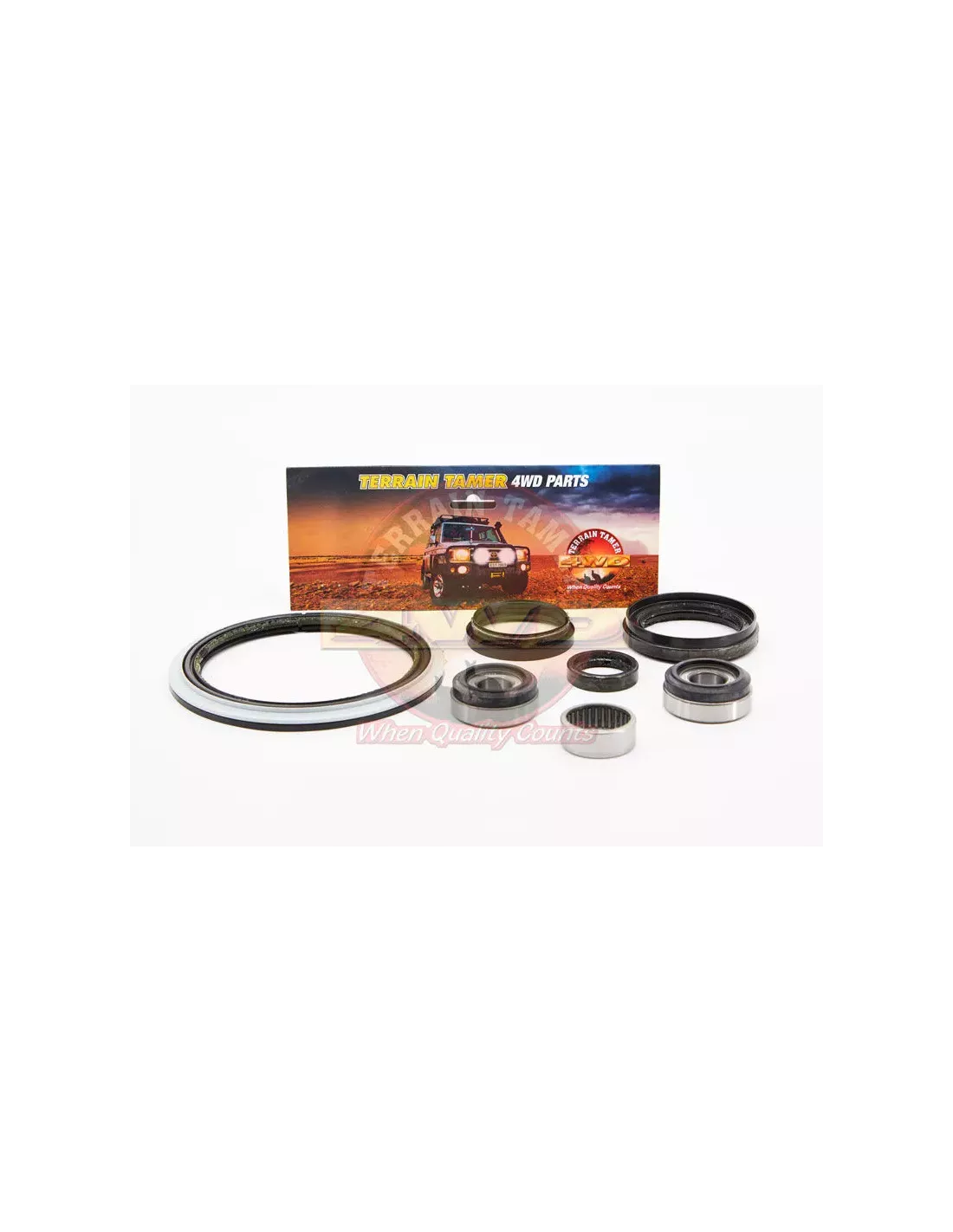 Kit réparation pivot de direction Terrain Tamer 1 côté