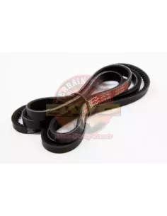 Kit courroie Ventilateur & DA & A/C 6VD1 3.2L V6 Terrain Tam 2