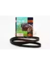 Kit courroie serpentine 6VEI 3.5L V6 Terrain Tamer