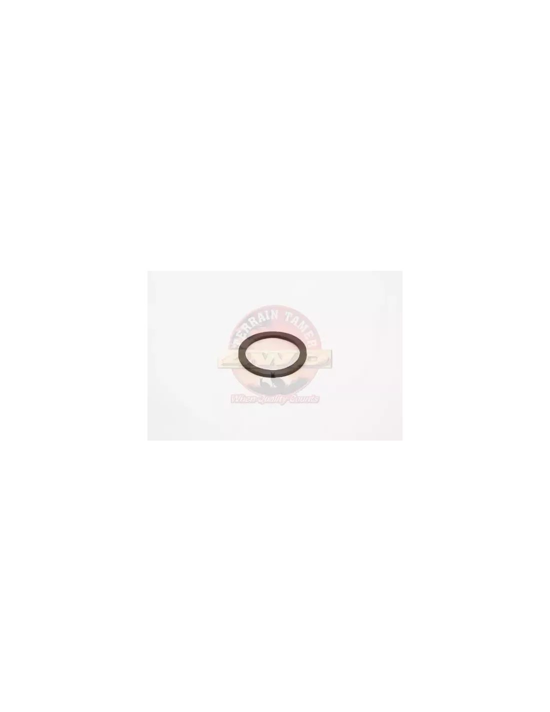 Joint torique thermostat Terrain Tamer 90430-43002TT