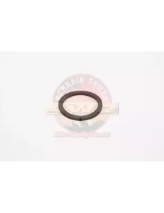 Joint torique thermostat Terrain Tamer 90430-43002TT 2