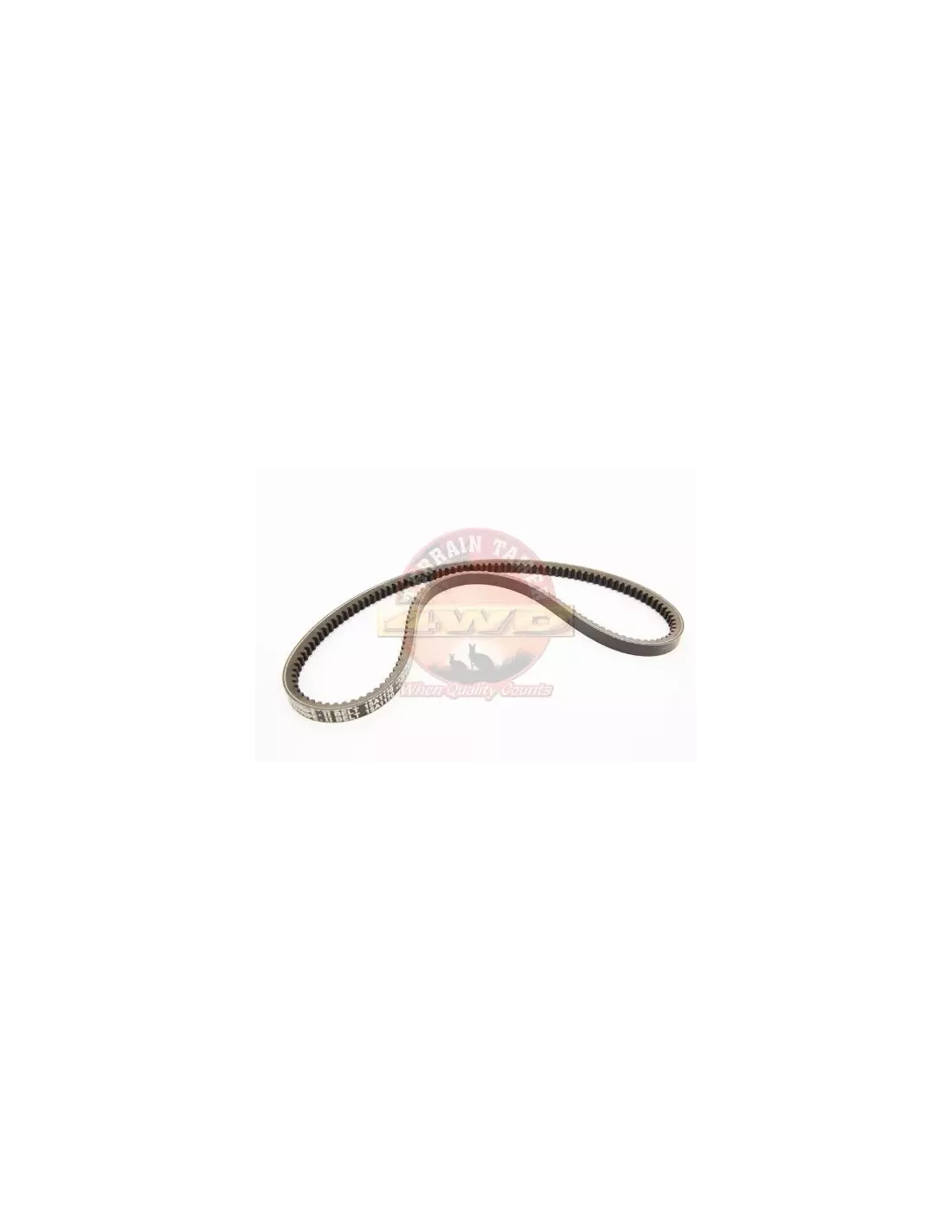 Courroie de ventilateur Terrain Tamer 99323-01175