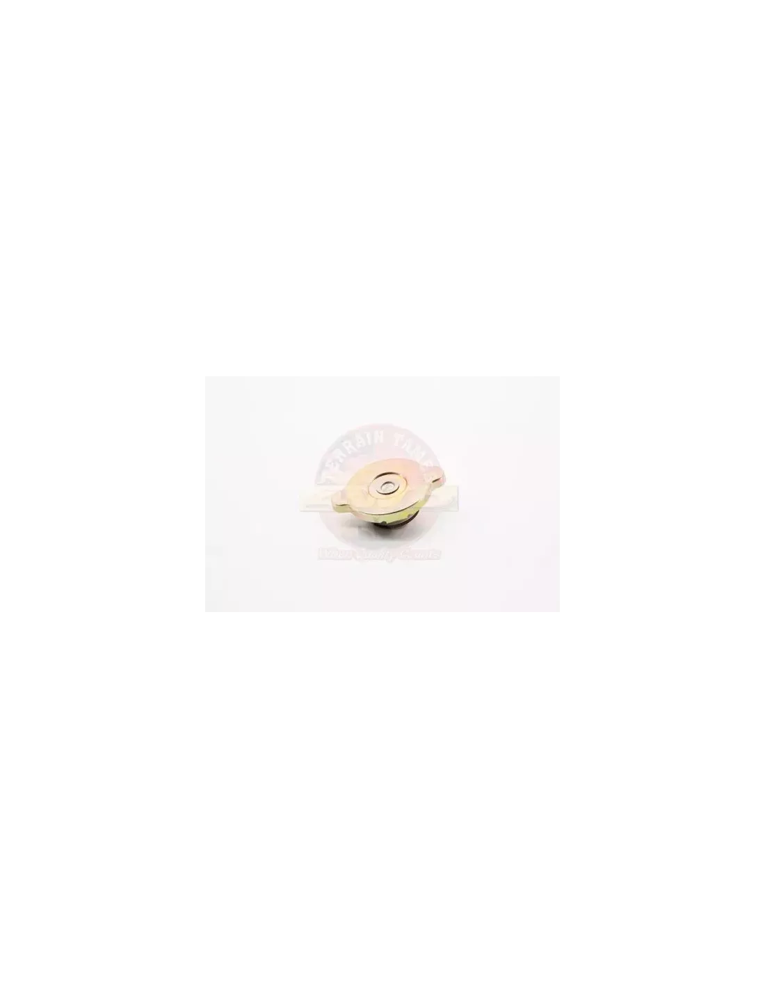 Bouchon de radiateur Terrain Tamer 16401-41021TT