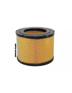 Filtre à air Terrain Tamer A1335 compatible 4x4 2