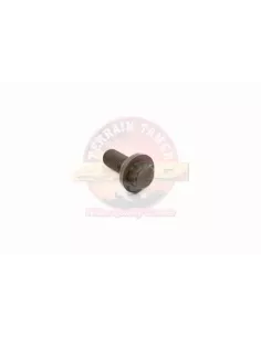 Vis volant moteur Terrain Tamer 90913-01021
