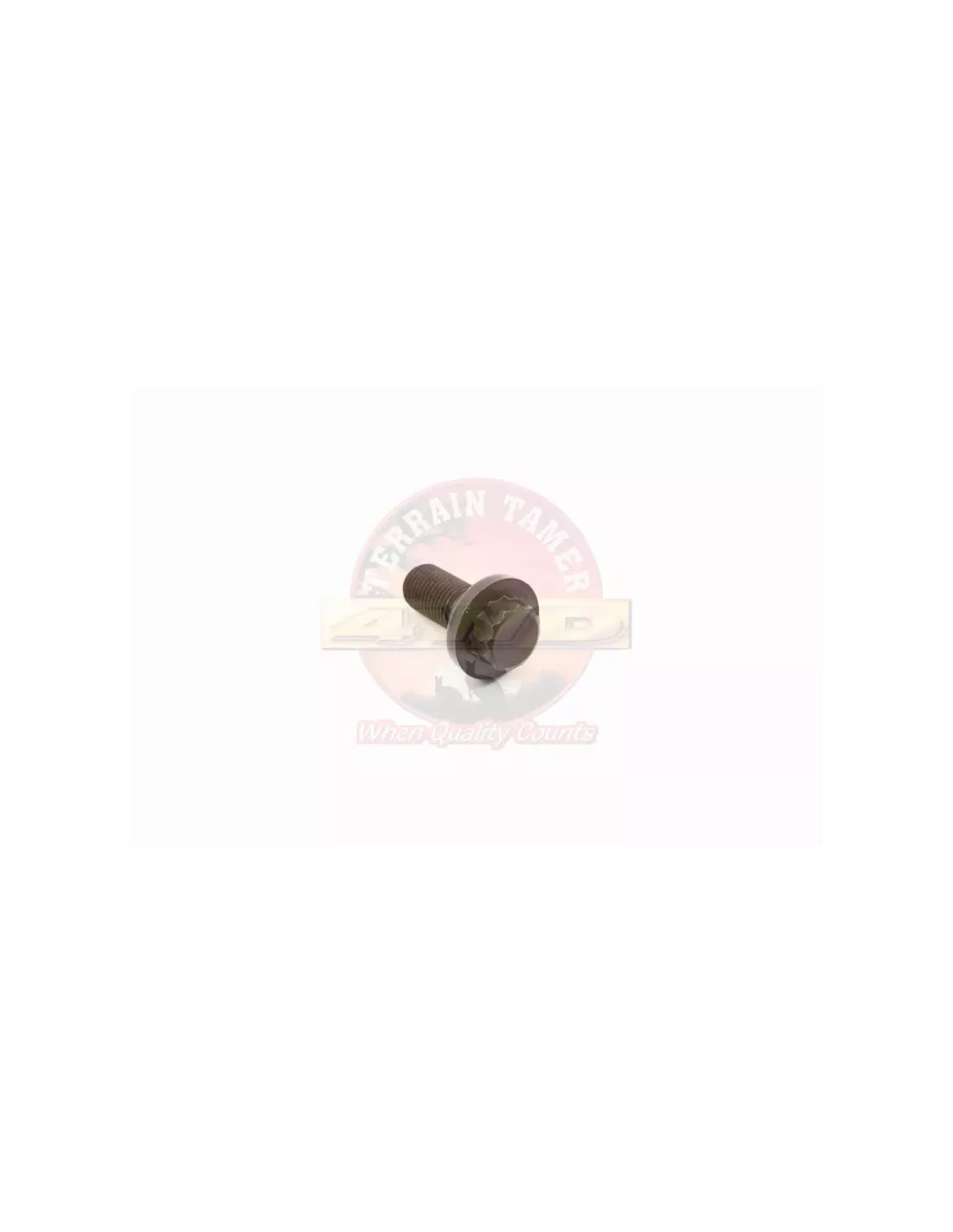 Vis volant moteur Terrain Tamer 90913-01021