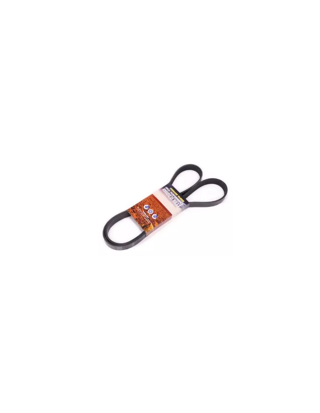 Courroie d’accessoires 4D56T 2,5L Terrain Tamer