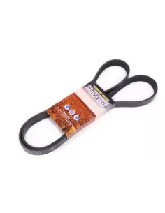 Courroie d’accessoires 4D56T 2,5L Terrain Tamer 2