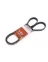 Courroie d’accessoires 4D56T 2,5L Terrain Tamer