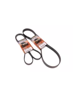 Kit courroie ventilateur Terrain Tamer pour boîte manuelle