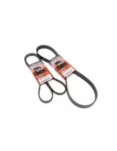 Kit courroie ventilateur Terrain Tamer pour boîte manuelle 2