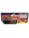 Kit amortisseur combiné ressort rehausse 40 mm Terrain Tamer