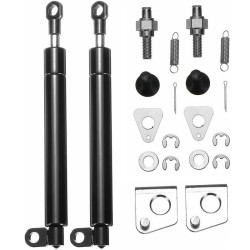 Tailgate struts (set of 2) for Ford Ranger