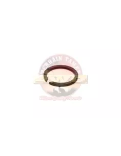 Circlip arbre d'entrée Terrain Tamer 90520-36016 2