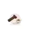 Boulon et écrou roue couronne Terrain Tamer 41226-35010K