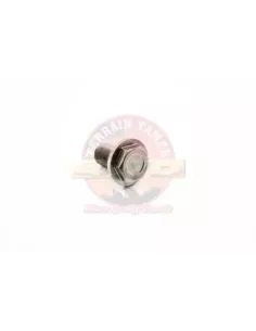 Vis pignon d'attaque Terrain Tamer 90901-05002 2