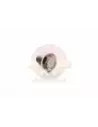 Vis pignon d'attaque Terrain Tamer 90901-05002