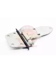 Charnière porte avant droite Terrain Tamer 68710-60012 2