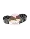 Jeu de coussinets de bielle 0,50 mm Terrain Tamer