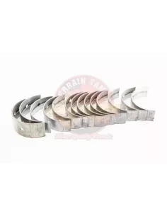 Kit roulement principal STD H 2H 12HT Terrain Tamer