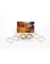 Kit joints collecteur d'échappement Terrain Tamer