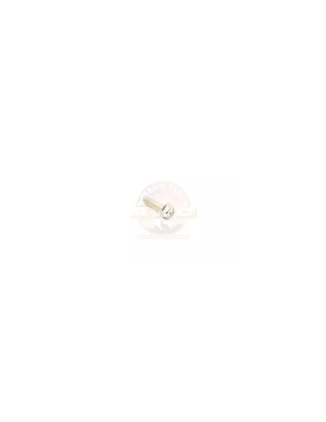 Boulon tuyau d’échappement Terrain Tamer 91512-61035