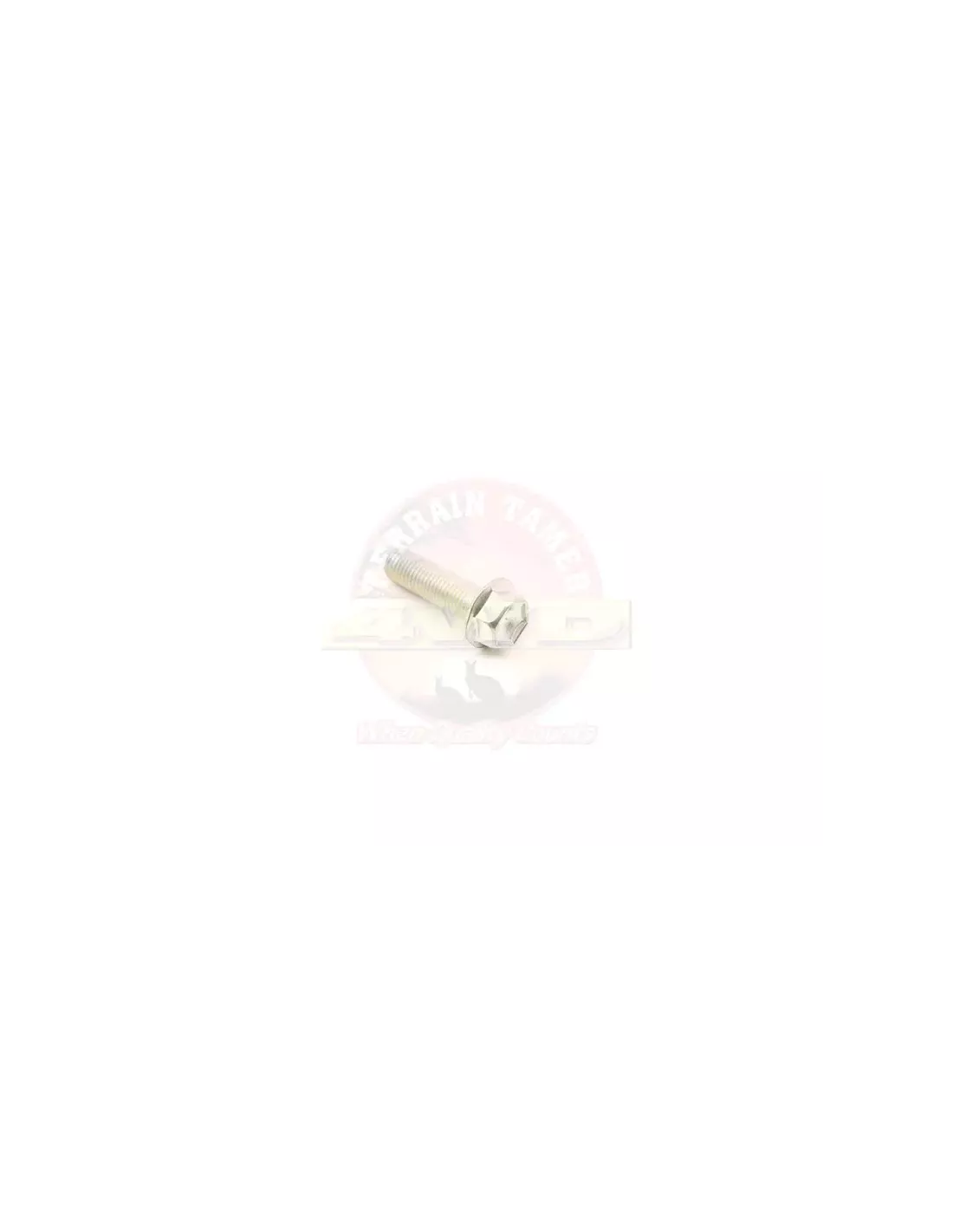 Boulon tuyau d’échappement Terrain Tamer 91512-61035