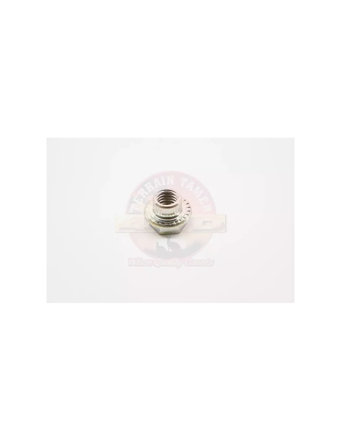 Écrou bras essuie-glace Terrain Tamer 90176-08016