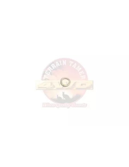 Joint d'injecteur DPF Terrain Tamer 90430-08017