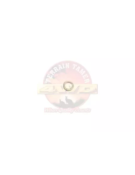 Joint d'injecteur DPF Terrain Tamer 90430-08017