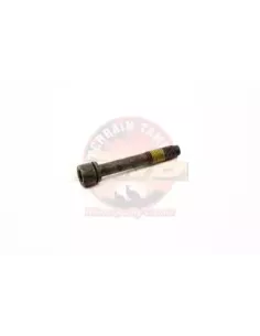 Boulon moyeu automatique roue libre Terrain Tamer 2