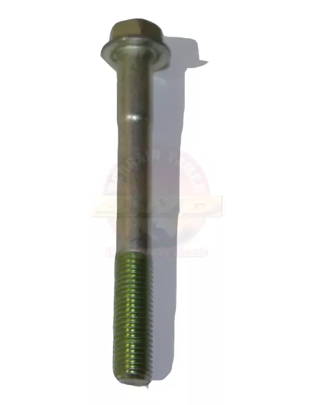 Boulon fixation pompe direction assistée Terrain Tamer