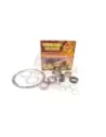 Kit révision différentiel arrière Terrain Tamer DK31S