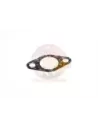 Cale pivot de direction Terrain Tamer 0,10 mm