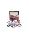 Kit révision différentiel Terrain Tamer avec verrouillage OE