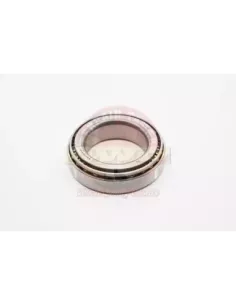 Roulement différentiel hémisphère Terrain Tamer LSD 2