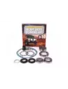 Kit réfection différentiel Terrain Tamer avec roulements HP