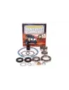 Kit Révision Différentiel Terrain Tamer avec Roulements HP e