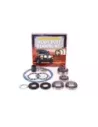 Kit réfection différentiel Terrain Tamer DK6HP