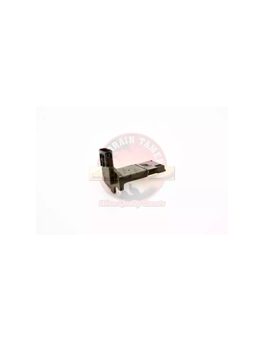 Débitmètre d’air Terrain Tamer 22204-51010