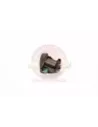 Buse lave-glace pare-brise Terrain Tamer