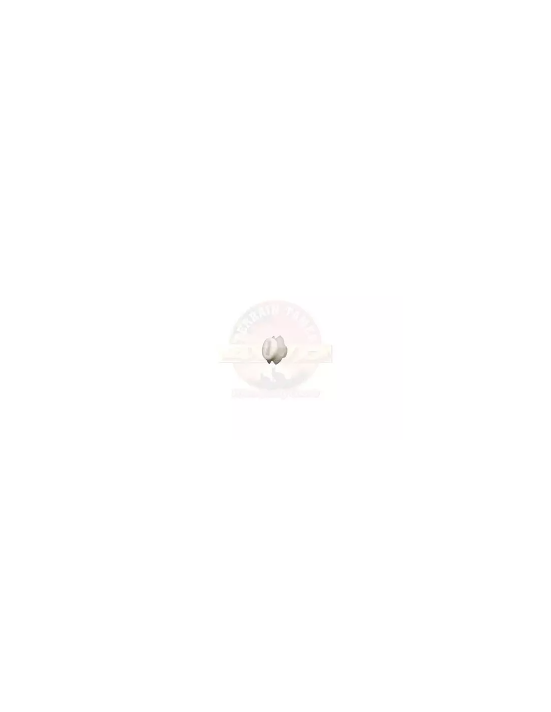 Agrafe tapis cache moteur Terrain Tamer 90467-10178
