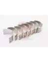 Jeu de coussinets de bielle 0,25 mm Terrain Tamer