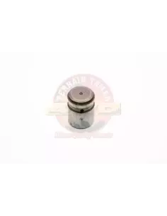 Valve de décharge pompe à huile Terrain Tamer 2