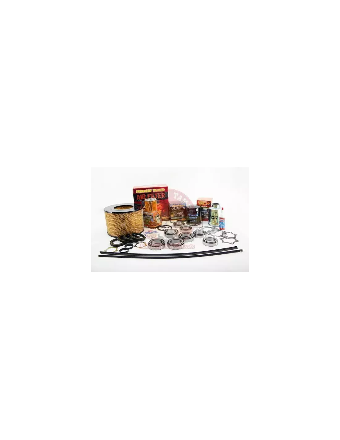 Kit filtres & service Terrain Tamer avec filtre carburant se
