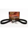 Kit distribution 2LT/3L/5L avec tendeur Terrain Tamer