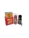 Kit filtres Terrain Tamer Toyota Hilux 5L LN147,167,172 08/9