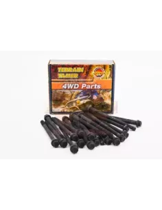 Kit boulons culasse TB42 TB45 4.2L & 4.5L essence 2