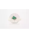 Fusible MINI 30A Terrain Tamer